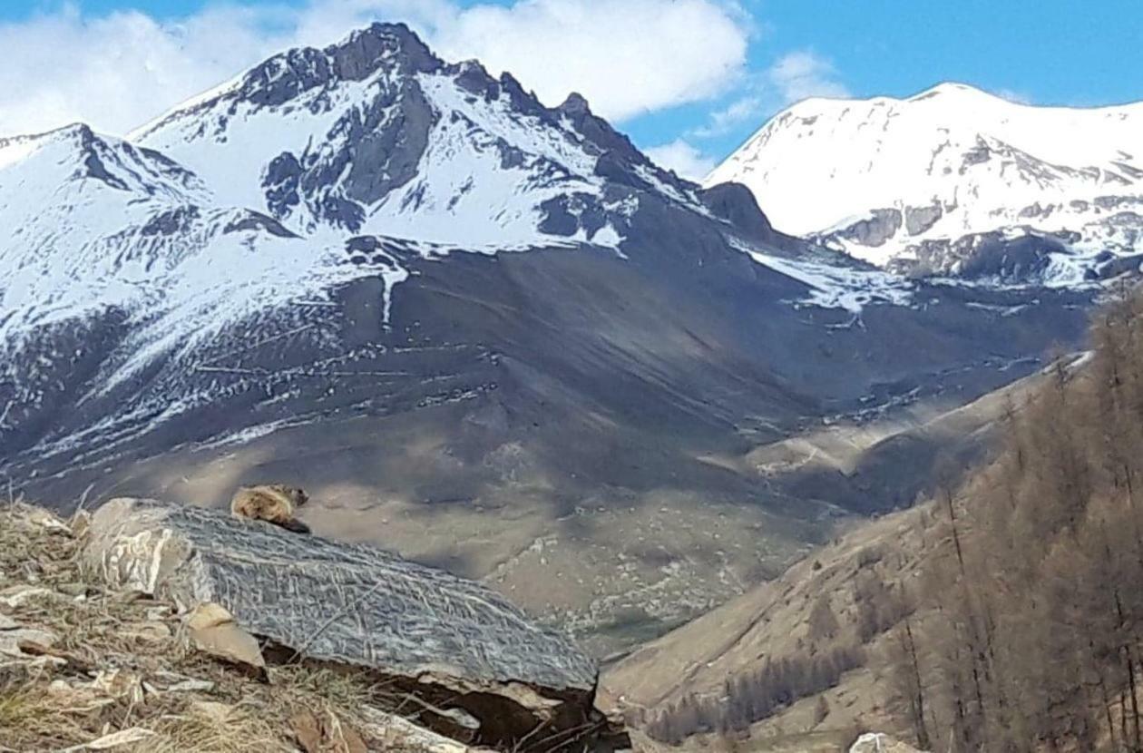 Ubaye Liberty Apartman Barcelonnette Kültér fotó